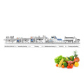 Fruit Processing Large Scale Root Onion Processing line Production Machines Supplier