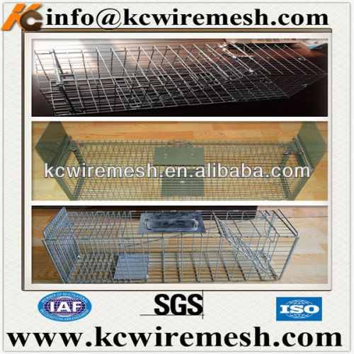 Metal wire rabbit trap cage,wire bird trap cage,metal wire pigeon trap cage