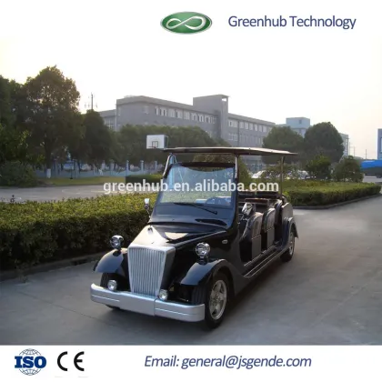 6 Seaters electric sightseeing car
