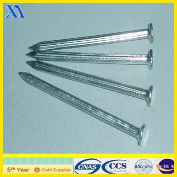 hot dipped nails/concrete nails/hot dipped galvanized boat nails