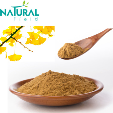 Natural Body Enhancement Gingko Biloba Leaf Extract