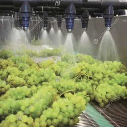 Automatic High Quality Grape Processing Line: Grape Juice Extracting Plant