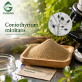 Coniothyrium Minitans Spore Powder فطريات التحكم البيولوجي