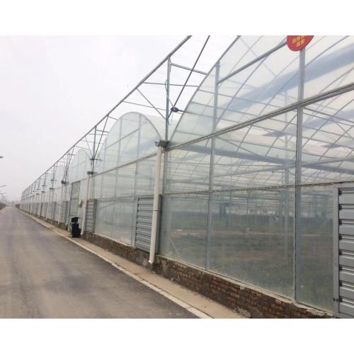Connected Film Covered Greenhouse