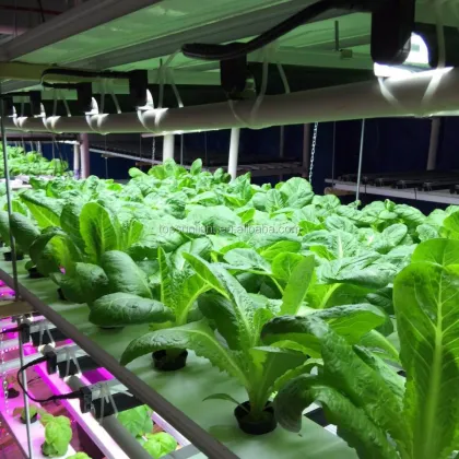 2 ft 1 T5-HO Fluorescent Grow Light - Full Spectrum 6500K