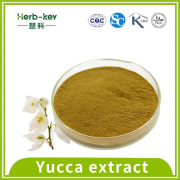 Antibacterial action 60% Yucca Extract powder