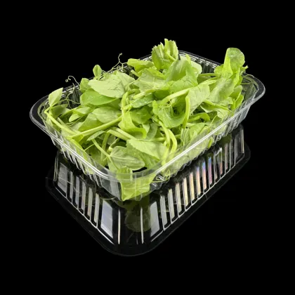 Premium Fresh Food Tray
