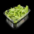 Premium Fresh Food Tray