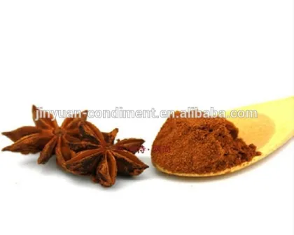 Star Anise Powder