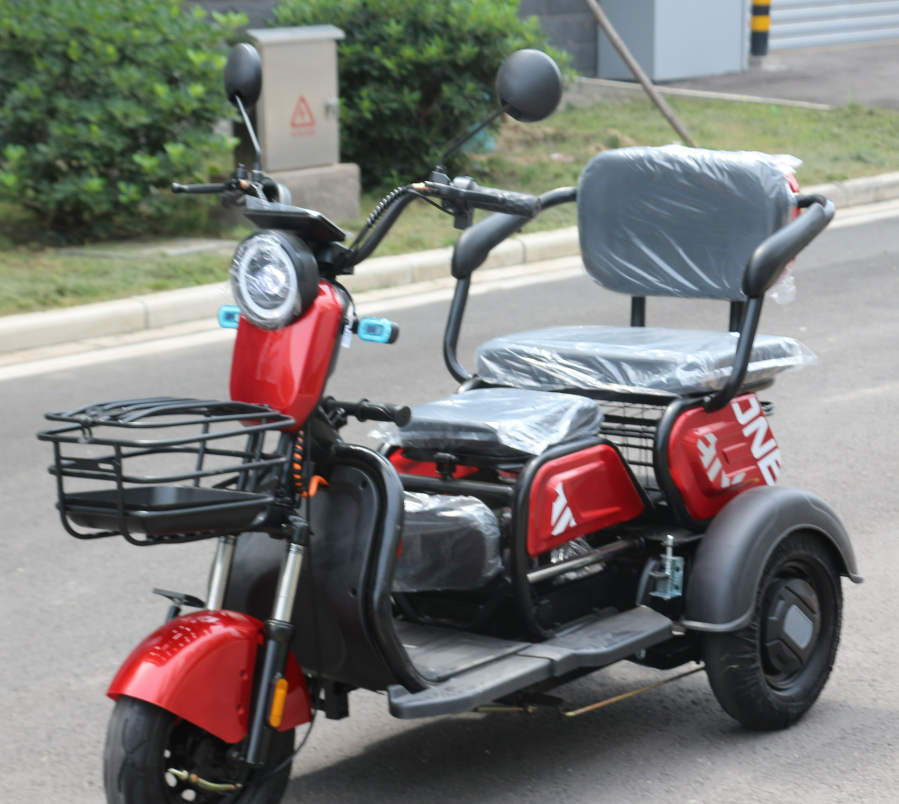 Adult Cargo Best Price Electric Tricycle