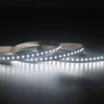 Adjustable 24V 2835 CCT LED Strip Lights: Brighten Your Space with Customizable Illumination