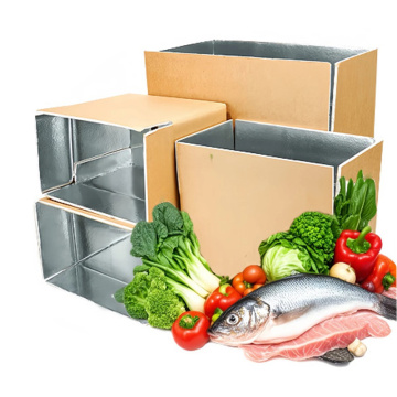 caja de envío de alimentos congelados aislados 48 horas