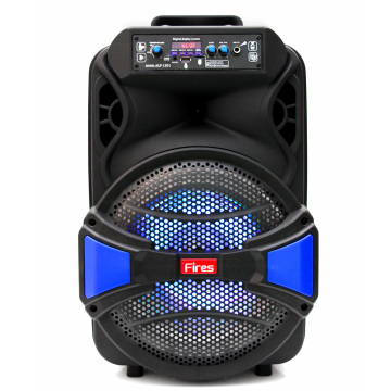 12 Inch Portable Bluetooth Speakers for Outdoor Wholesale