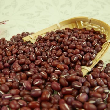 Small Red Bean factory supply