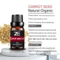 Carrot Seed Essential Oil Bulk Fragrance Carrot Oil For Hair