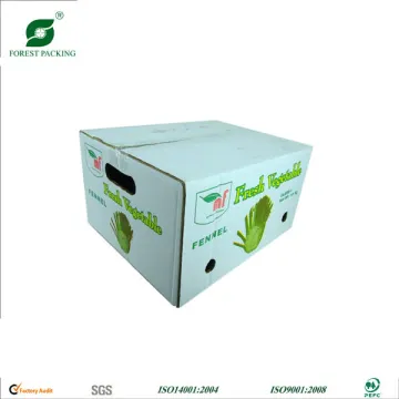 BANANA BOX|DRY FRUIT BOX|CARDBOARD BOX FOR FRUIT|FRUIT BOX FP100018,BANANA BOX
