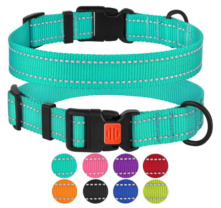 Reflective Dog Collar With Buckle