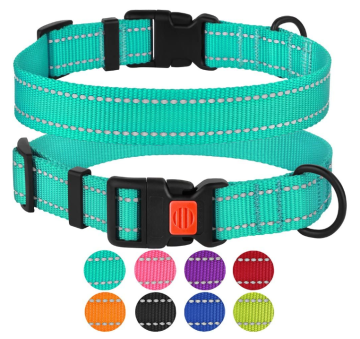 Reflective Dog Collar with Buckle