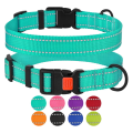 Reflective Dog Collar with Buckle