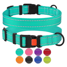 Reflective Dog Collar with Buckle