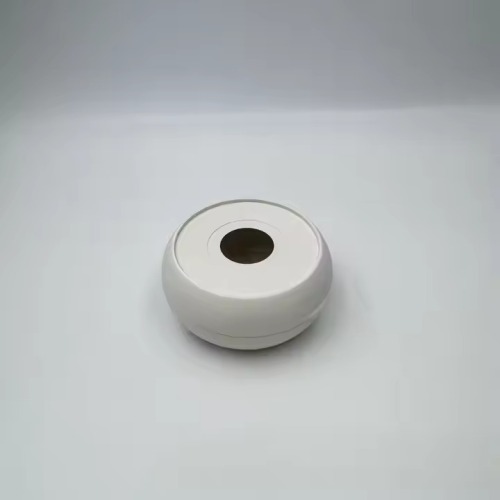 Plastic Small Sterilizer Box Parts Injection Mold