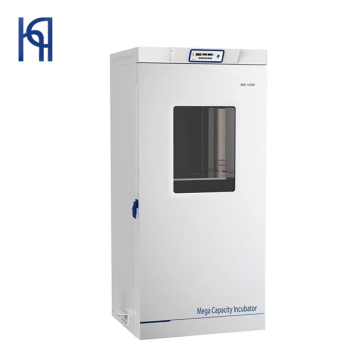 Large Capacity Digital Constant Temperature Incubator WH-1200 for Laboratory
