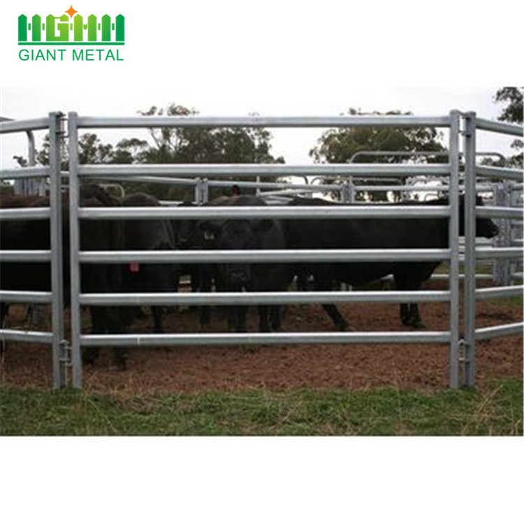 PVC Coated Livestock Farm Fence/ Horse Fence