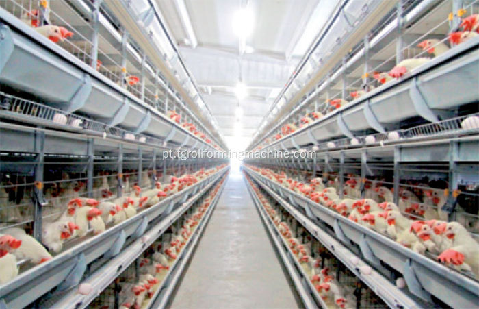 Poultry Feeding rolo dá forma à máquina