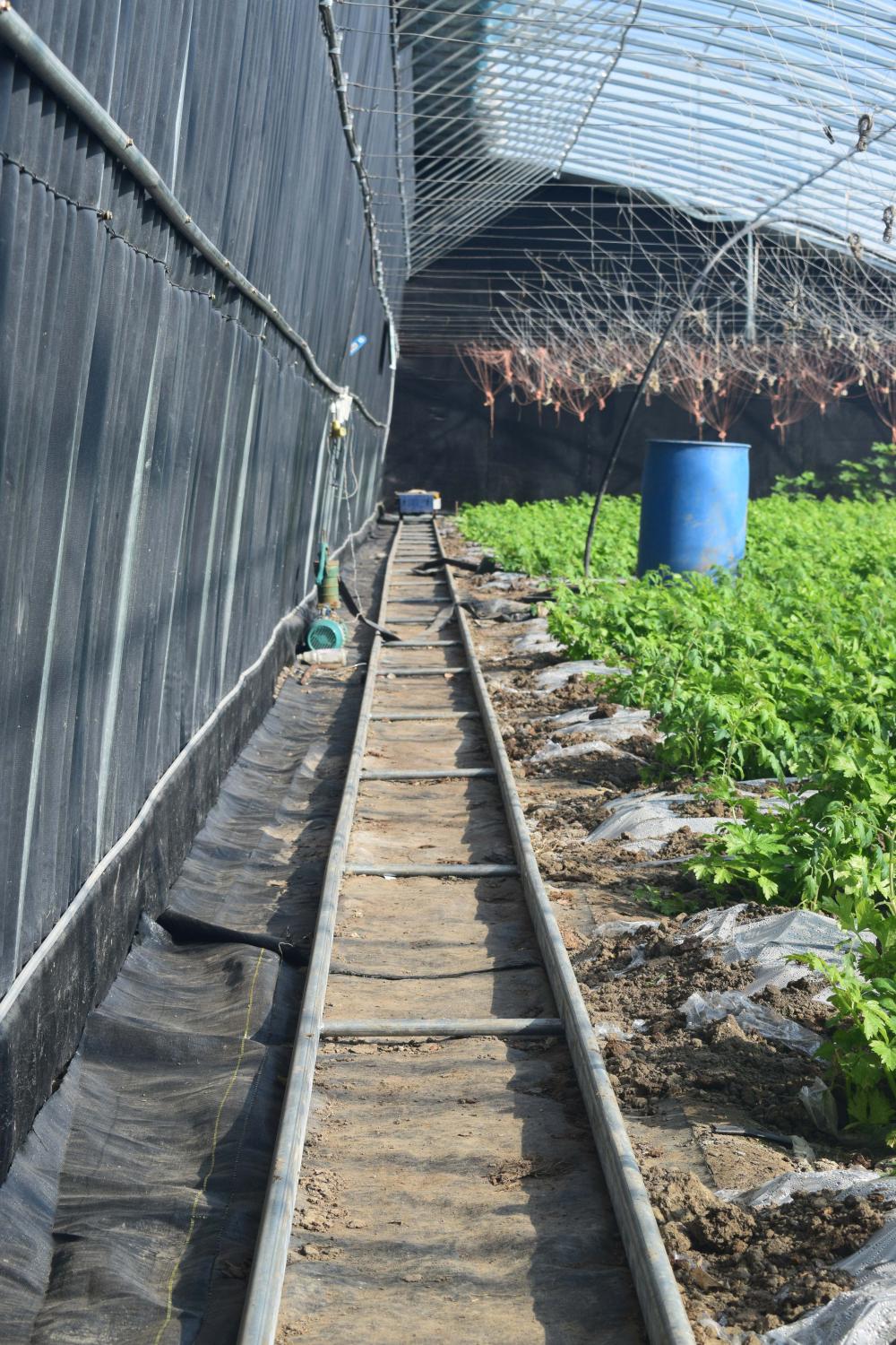 Greenhouse acionada por energia solar