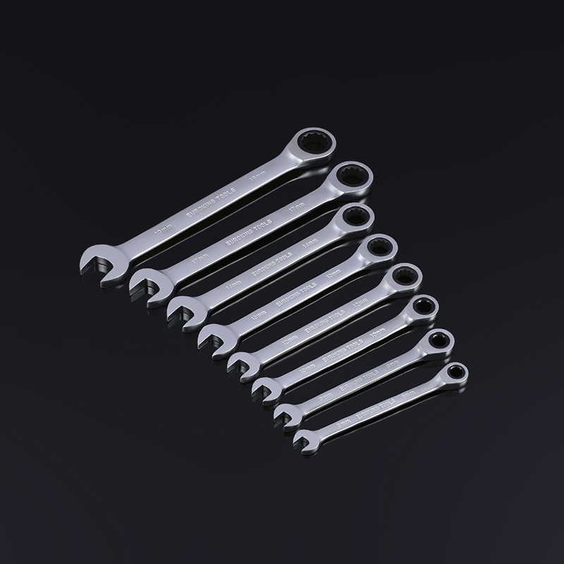 8PCS Spanner Wrench Set with Pouch