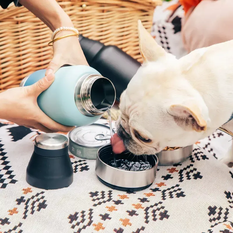 Custom Logo 3 in 1 Stainless Steel Pet Feeder Water Bottle