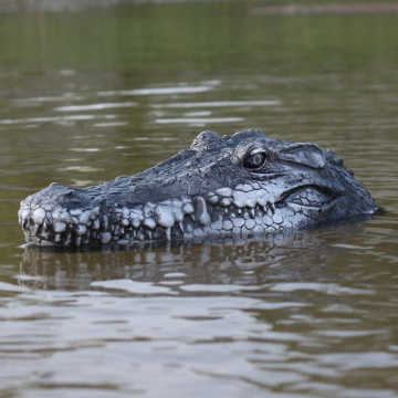 Flytec V005 2.4G RC Simulation Resin Crocodile Head Boat: A Unique Prank and Garden Decoration for Water Features