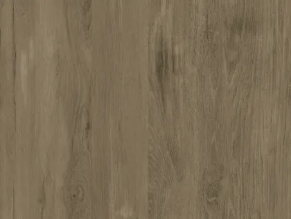 TRP913 Wood look ceramics floor tiles