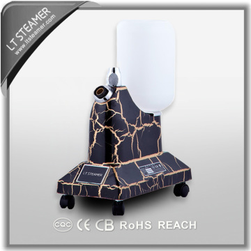 LT-4 Black Strong power vapor generator removable water tank hot sales vertical garment steamer