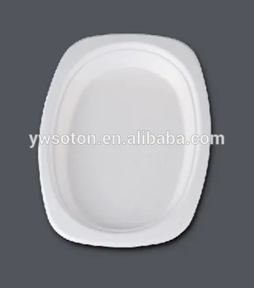 10" Round Plate Sugarcane Plate Biodegradable Paper Dinner Dinnerware