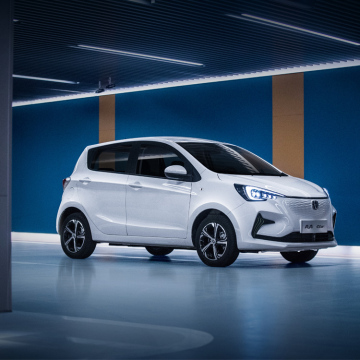2024 Changan E-Star 310 km: neues Energiespeicher des Energieverkehrs