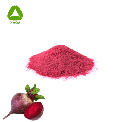 Organisches OEM -Superfood -Antioxidationsmittel -Rote -Beete -Extraktpulver