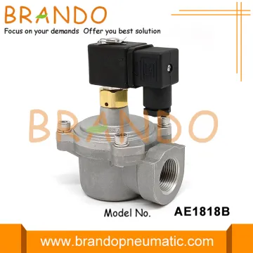 Autel Type AE1818B Pulse Jet Valve 24V 220V