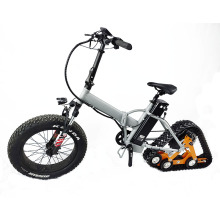 BIG POWER 48V 2000W-3000W SNOW EBIKE
