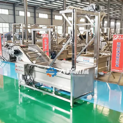 Customizable DY Bubble Ozone Vegetable Washing Machine