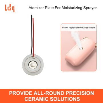 Placa atomizadora para pulverizador hidratante