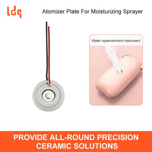 Placa atomizadora para pulverizador hidratante