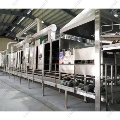 Coconut milk belt dryer