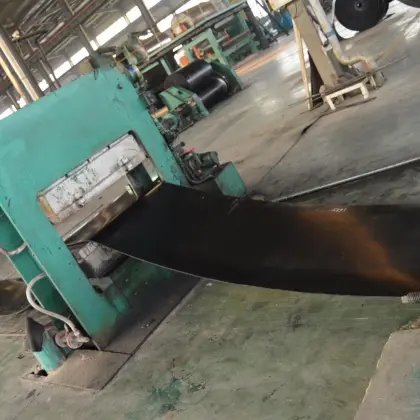 Large Conveying Capacity wheat germ belt