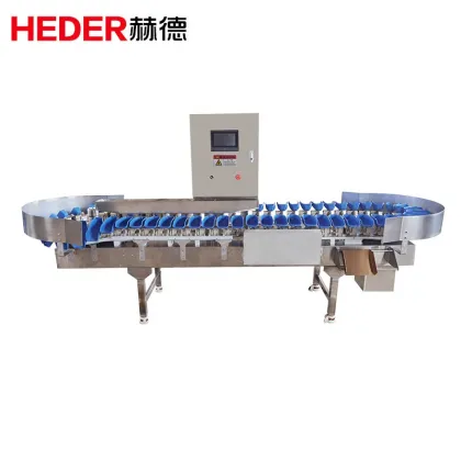 Kiwi Fruit and Vegetable Weight Sorting Grading Machines