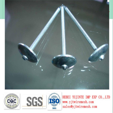 hot dipped galvanized umbrella roofing nails with shiny quality