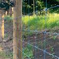 Fixed Knot Woven Wire Fence Fabric