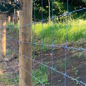 Fixed Knot Woven Wire Fence Fabric