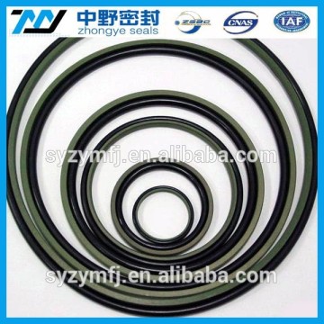 Hydraulic Style and Standard Standard or Nonstandard Potential misalignment PTFE seal