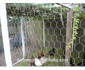 Anping galvanized hexagonal wire mesh/ chicken wire / PVC coated chicken fence